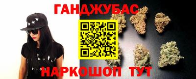 СК Кингисепп