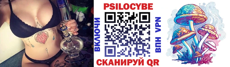 сколько стоит  сайты даркнета телеграм  Галлюциногенные грибы Psilocybine cubensis  Сатка 