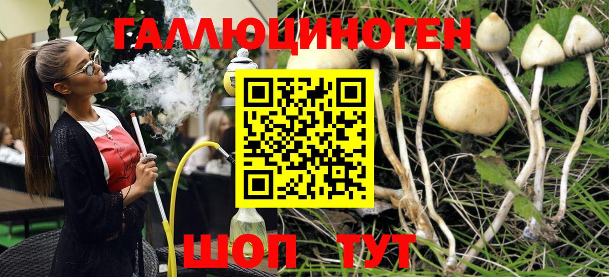 Галлюциногенные грибы Psilocybe  закладки  Сатка  Вход с VPN 