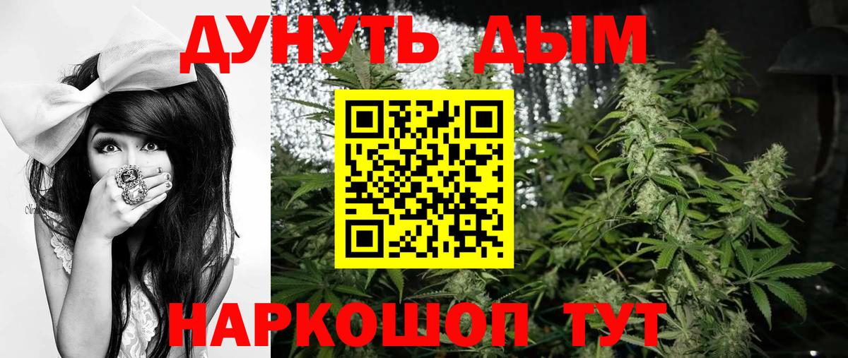 Шишки марихуана ГИДРОПОН  МАРИХУАНА SATIVA & INDICA  Сатка  Вход с VPN  Бошки Шишки SATIVA & INDICA 